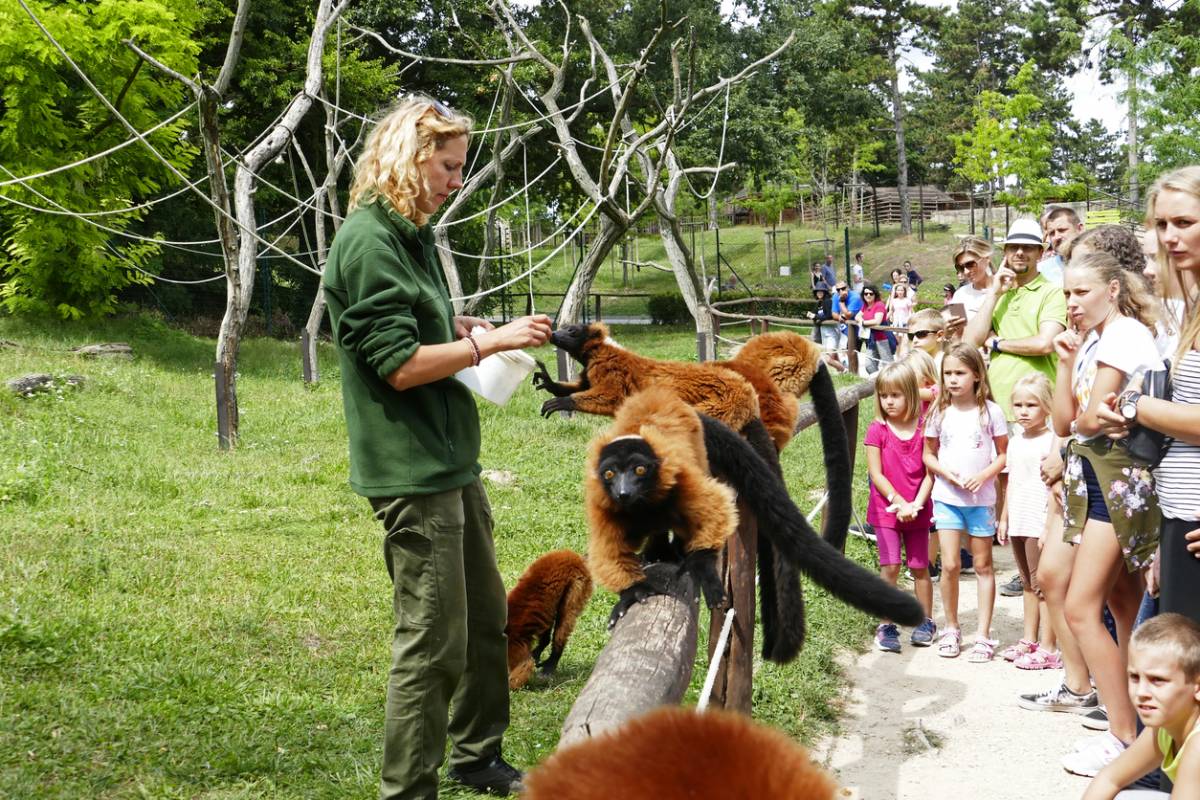 débouchés métier soigneur animalier